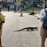 Photo taken by Fuad A