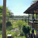 Photo taken by Sarah H