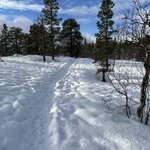 Photo taken by Karen S