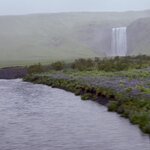 Photo taken by Kim C