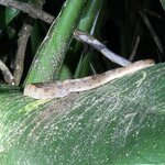 Photo taken by Ceinwen P