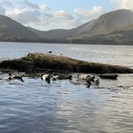 Photo taken by David L