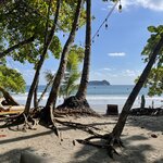 Photo taken by Matt P