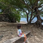 Photo taken by Jason C