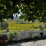 Photo taken by Dee C