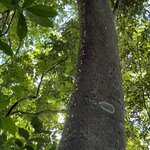 Photo taken by Wilbert A