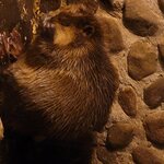 Photo taken by Moses K