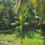 Photo taken by Sevi Y