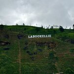 Photo taken by Anisha L