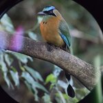 Photo taken by Victoria E