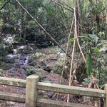 Photo taken by john b