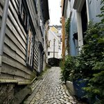 Photo taken by ANNIE C