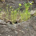 Photo taken by Margy C