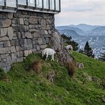 Photo taken by Karen M