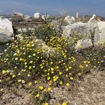 Photo taken by Lisa B