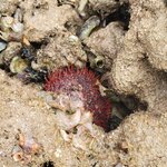 Photo taken by Kim M