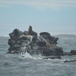 Photo taken by Ben S