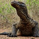 Photo taken by Nancy P