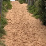 Photo taken by Linnaea M