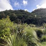 Photo taken by Mary B