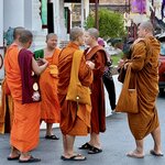 Photo taken by Anil C