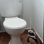 Photo taken by Joanne B