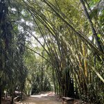 Photo taken by Kara K