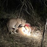 Photo taken by rhonda c