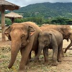 Photo taken by Dianne M