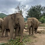 Photo taken by Dianne M