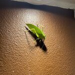 Photo taken by Blair H