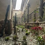 Photo taken by Lindsey B