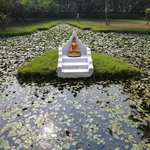 Photo taken by Katherine J