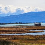 Photo taken by Devon B