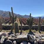 Photo taken by Douglas S