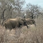 Photo taken by Kolla S