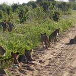 Photo taken by Kaye D