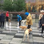 Photo taken by Michelle J