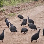 Photo taken by Kaye D