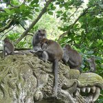 Photo taken by Nancy P