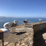 Photo taken by Paul M