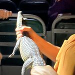 Photo taken by Tony F