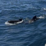 Photo taken by Jessee H