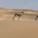 Photo taken by Sandro P