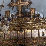 Photo taken by PADMABEN P