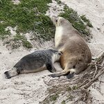 Photo taken by Rosemary S