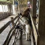 Photo taken by Rosemary S