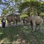 Photo taken by Minaxi P