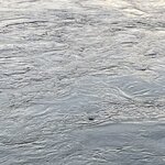 Photo taken by Michael L