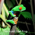 Photo taken by Susan D